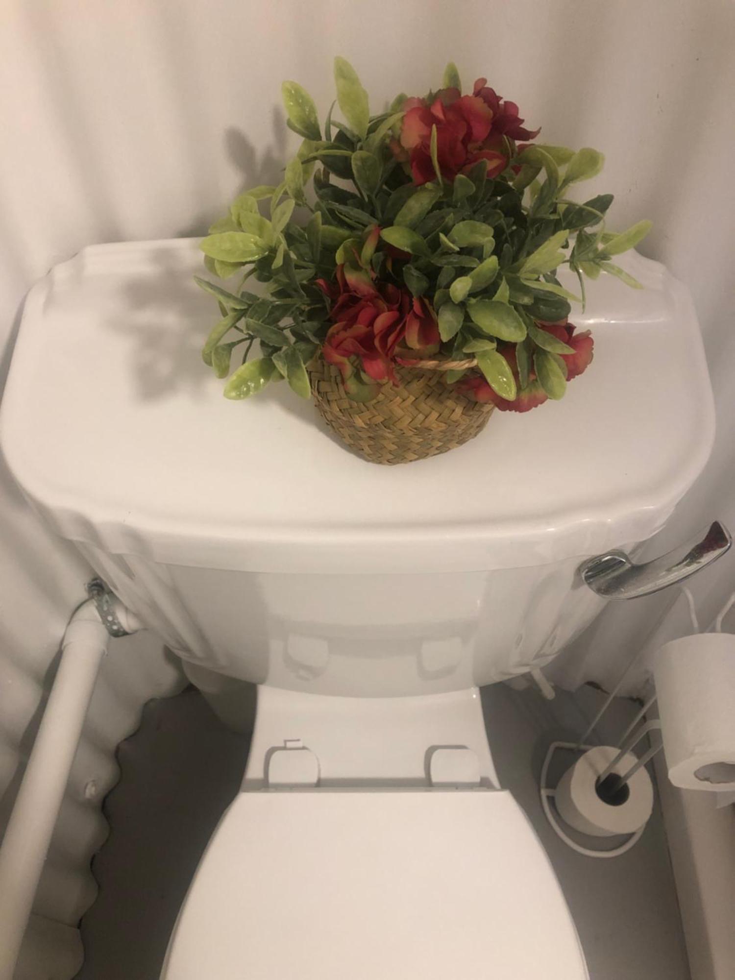 Bob'S Cabin ゴールウェイ エクステリア 写真
